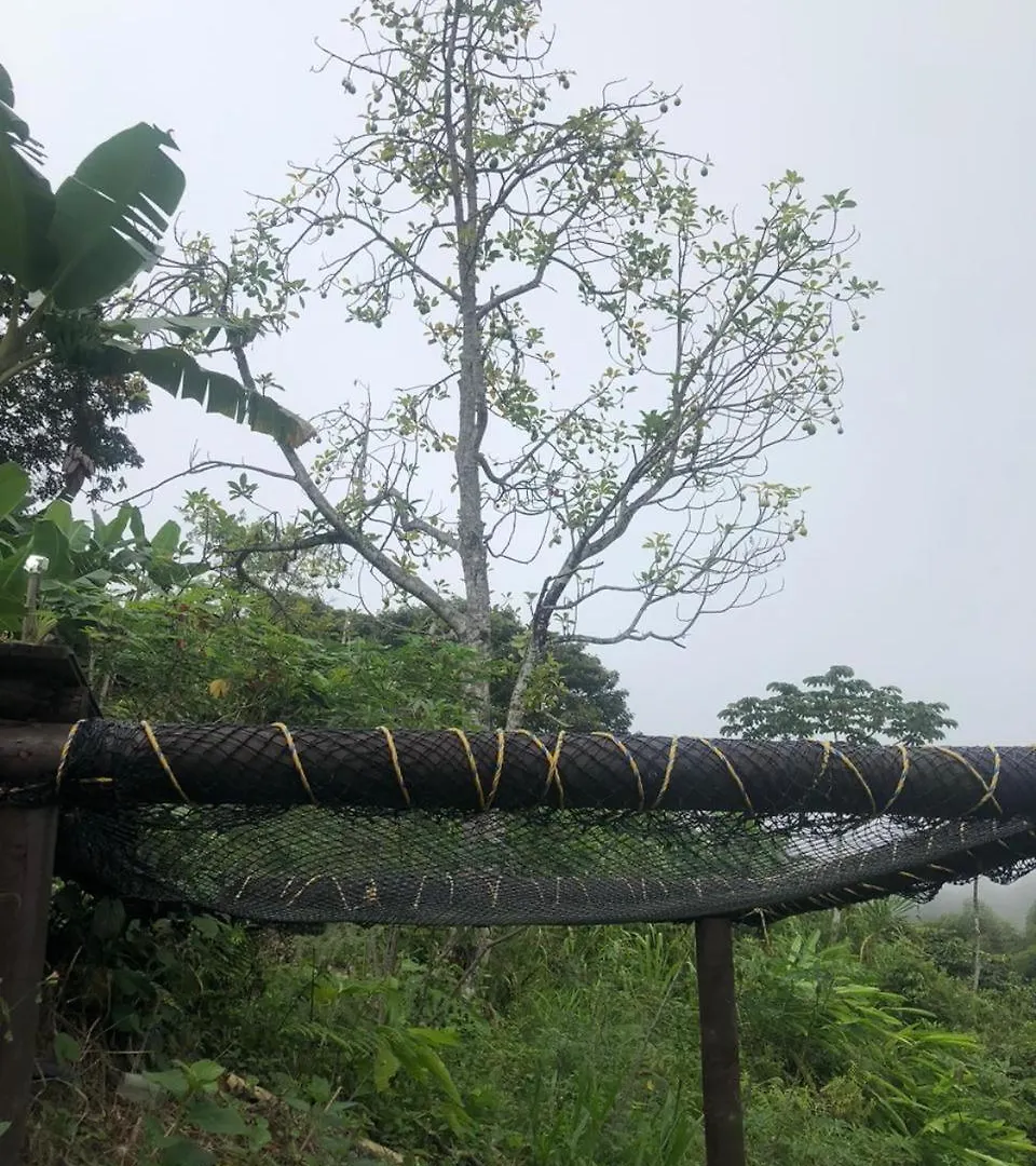 Villa El Parque Del Loro à Santa Marta